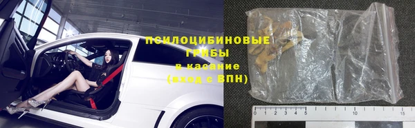индика Алексин