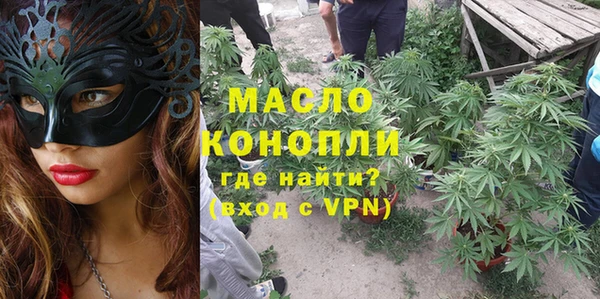 индика Алексин