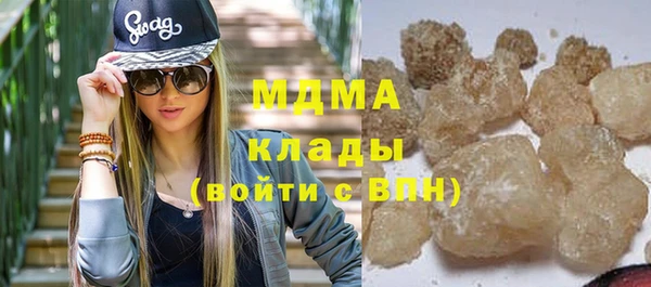 индика Алексин
