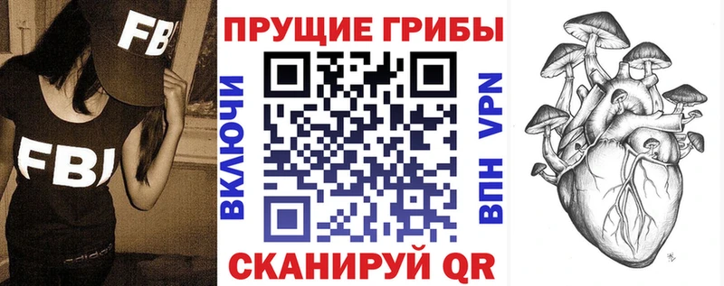 blacksprut сайт Межгорье Псилоцибиновые грибы GOLDEN TEACHER